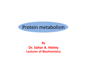 final protein metabolism lecture 3&4''- dr. Sahar