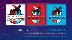 Mighty Dog Roofing Bucks County