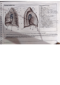 anatomy 2[1]