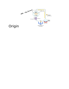Copy of Origin of Life Worksheet.docx