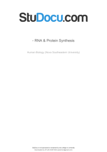 rna-protein-synthesis