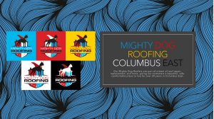 Mighty Dog Roofing Columbus East
