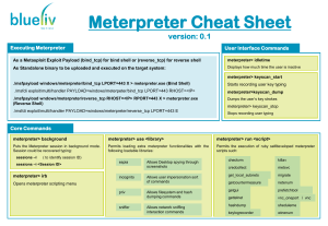 Meterpreter cheat sheet v0.1