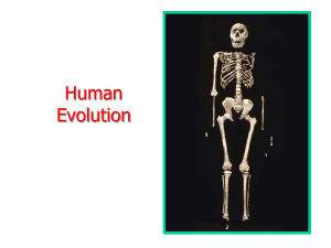 HumansEvolutionHP