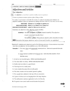 Adjective and Articles Packet