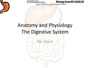 Anatomy and Physiology The Dig - Mr Vasco Dominic 13060(1)