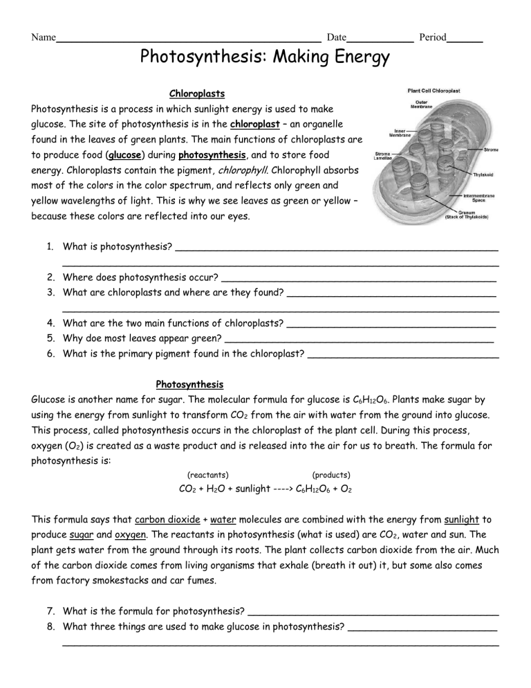 honors biology photosynthesis worksheet