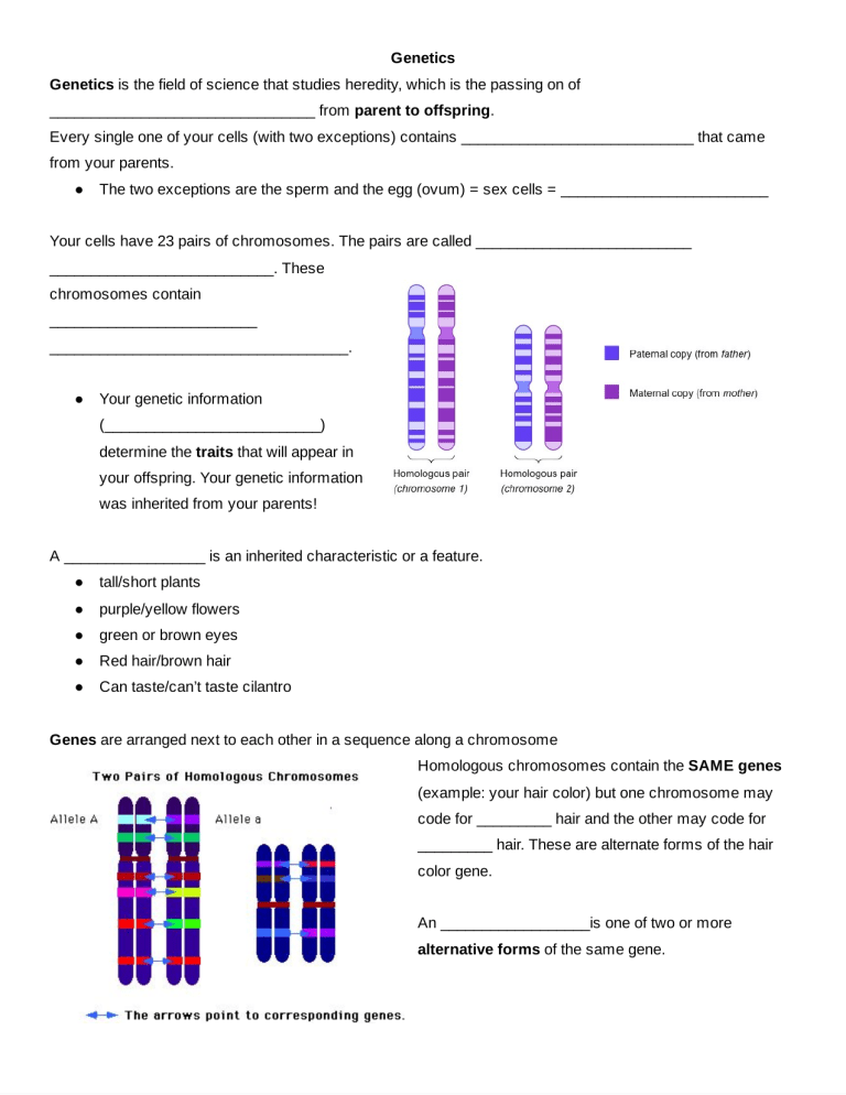 intro to genetics