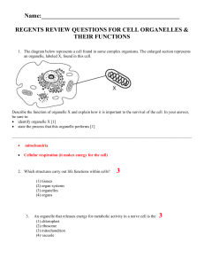 regents organelle questions with answers1