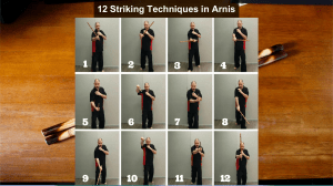 12 Striking Techniques and Basic Stance