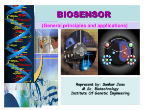 Bio sensor