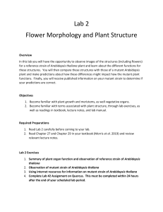 Lab 2 Flower morphology and plant structure