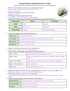 Human Remains Study Guide
