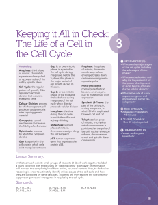 Cell Cycle Game