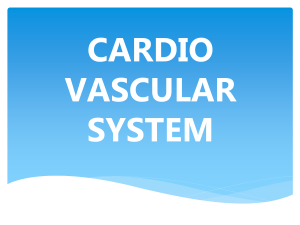 Cardiovascular system ppt