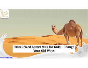 Pasteurized Camel Milk for Kids – Change Your Old Ways