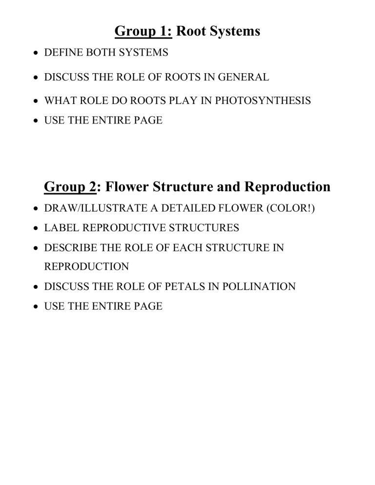 poster-review-activity-plants