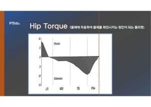 gait torque