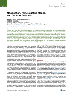 Nociception, Pain, Negative Moods, and behavior selection