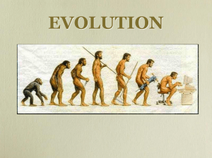 evolution-ppt1