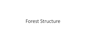 Forest Structure