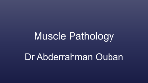 5. Pathology of Muscle Disorders