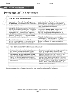 Patterns of Inheritance Reading and Worksheet