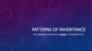 4.3 Patterns of Inheritance