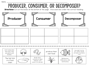 Producer Consumer Decomposer Cut & Paste