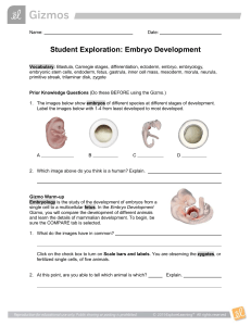 EmbryoDevelopmentSE