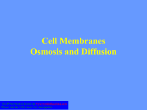 3 1 Cell Membrane - Osmosis and Diffusion (1)
