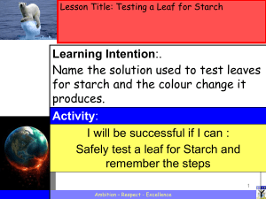 2.-Dead-Earth-Testing-a-Leaf-NEW