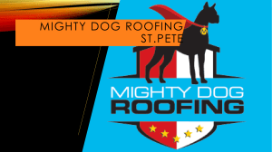 Mighty Dog Roofing St.Pete