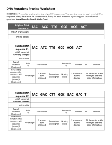 DNA Mutations Practice Worksheet