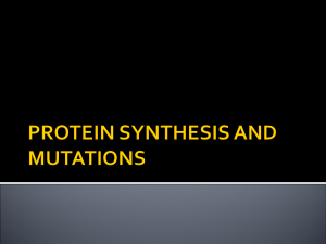 PROTEIN SYNTHESIS AND MUTATIONS review 
