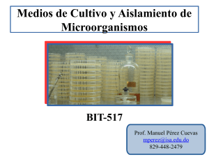 3. Medios de cultivo y aislamiento de microorganismos microbiología BIT-517 - 2021