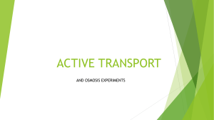 ACTIVE TRANSPORT