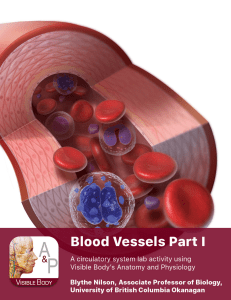 Block 1 Activity 3 - Blood Vessels Exploration Lab