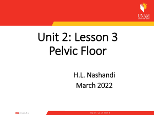 Unit 2 Pelvic floor