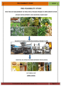 INTEGRATED AGROPROCESSING WITH MULTIPLE PHASES PROJECTS FEASIBILITY STUDY