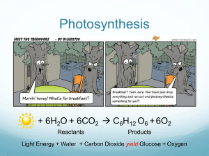 photosynthesis-biology-ppt