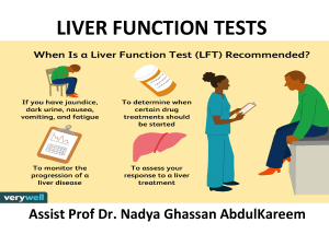 Liver Function Tests: Bilirubin, Enzymes, and Plasma Proteins