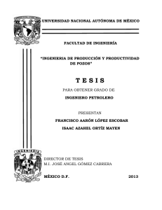 TESIS INGENIERIA DE PRODUCCION Y PRODUCTIVIDAD DE POZOS