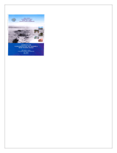 Handbook for Anti Erosion, Flood Protection & River Training Works