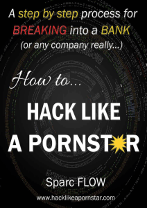 Книга 1 Занимайся хакингом с ловкостью порнозвезды compressed