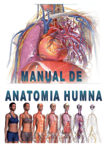 01. Manual de Anatomía Humana autor Edwin Saldaña