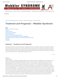 Treatment and Prognosis - Wobbler Syndrome