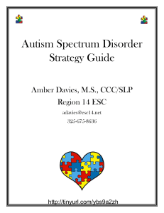 Autism Strategy Guide PDF Visual Strategies