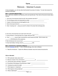 Meiosis WebQuest