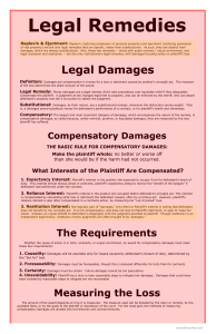 Legal-Remedies-pdf